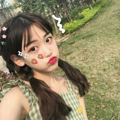 淑女鸟